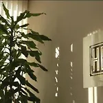 Hotel Friuli 3*